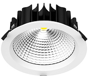 Downlight Enl DL343